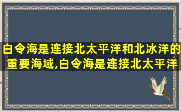 白令海是连接北太平洋和北冰洋的重要海域,白令海是连接北太平洋 🦍 和北冰洋的重要海域对吗